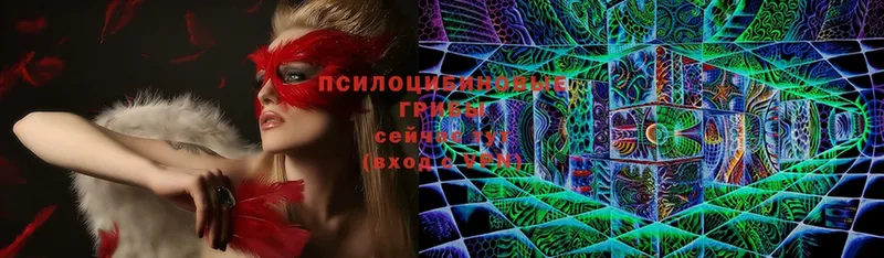 OMG рабочий сайт  Вихоревка  Псилоцибиновые грибы Magic Shrooms 